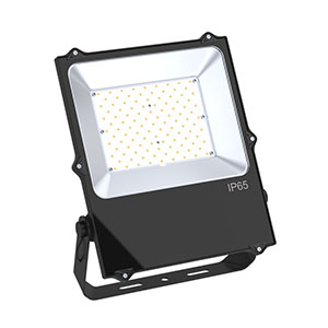 牛角投光燈-100W